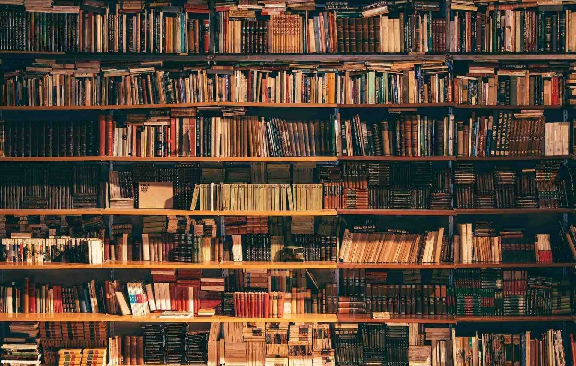 Education as the Best Investment